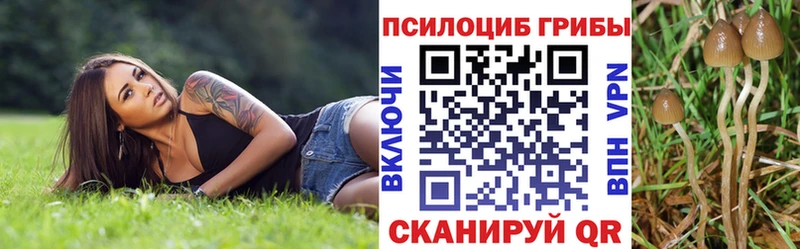 Псилоцибиновые грибы MAGIC MUSHROOMS  Купить  Белореченск 